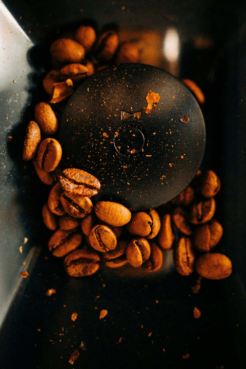 Image of coffee beans being ground in a coffee grinder